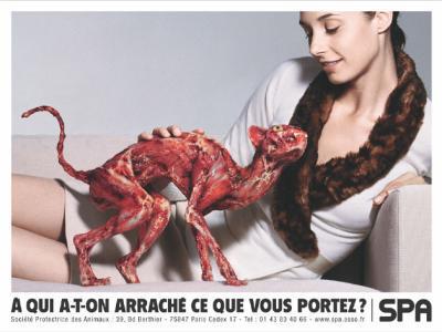 Animal mon ami...